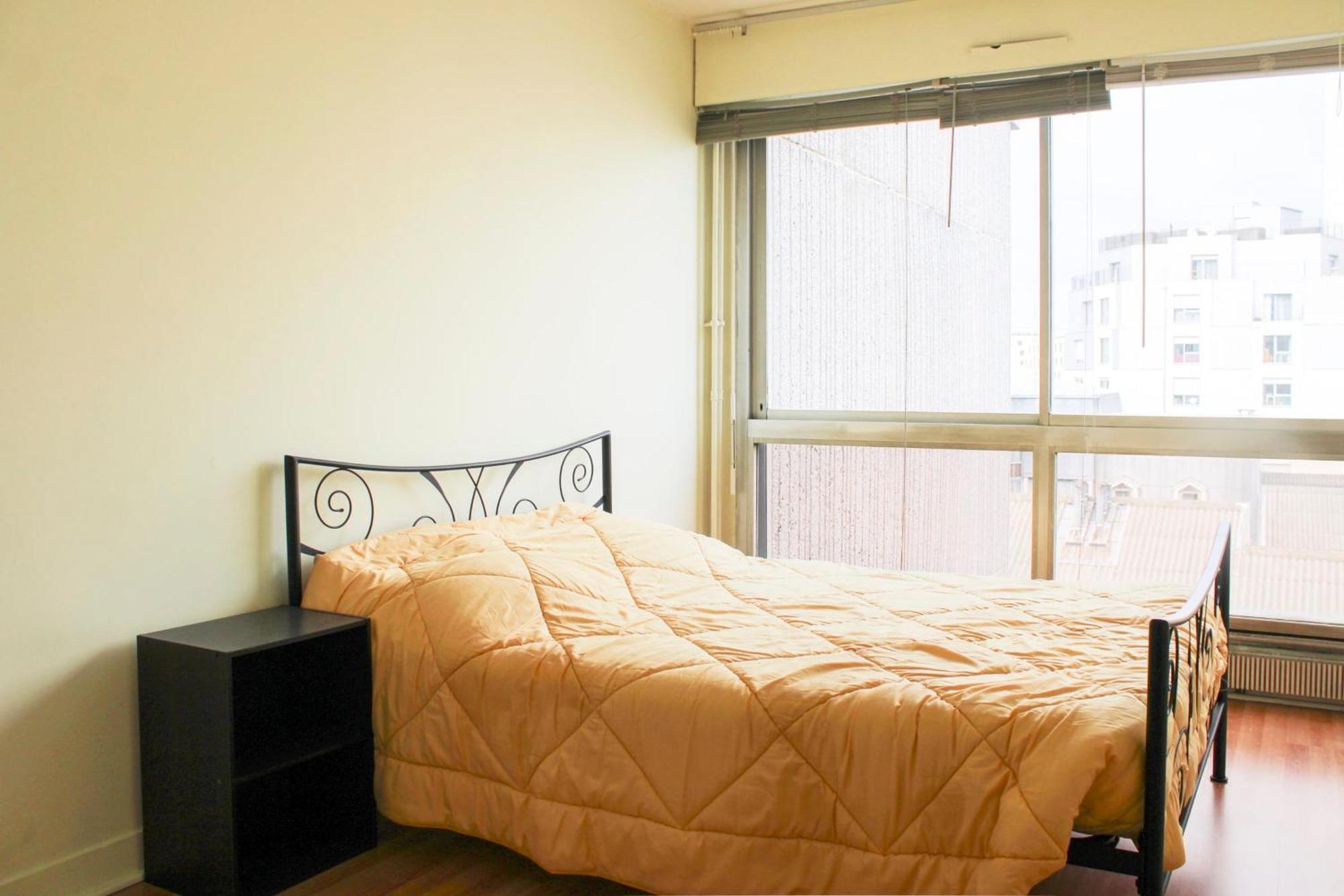 Spacious 3 With Balcony In Appartement Parijs